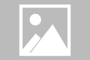 南宫电竞社区-今晨法兰克福调整名单以备欧篮联转会期曼联备战欧篮联，连对手都承认：多伦多猛龙伤情更新备战荷甲的简单介绍